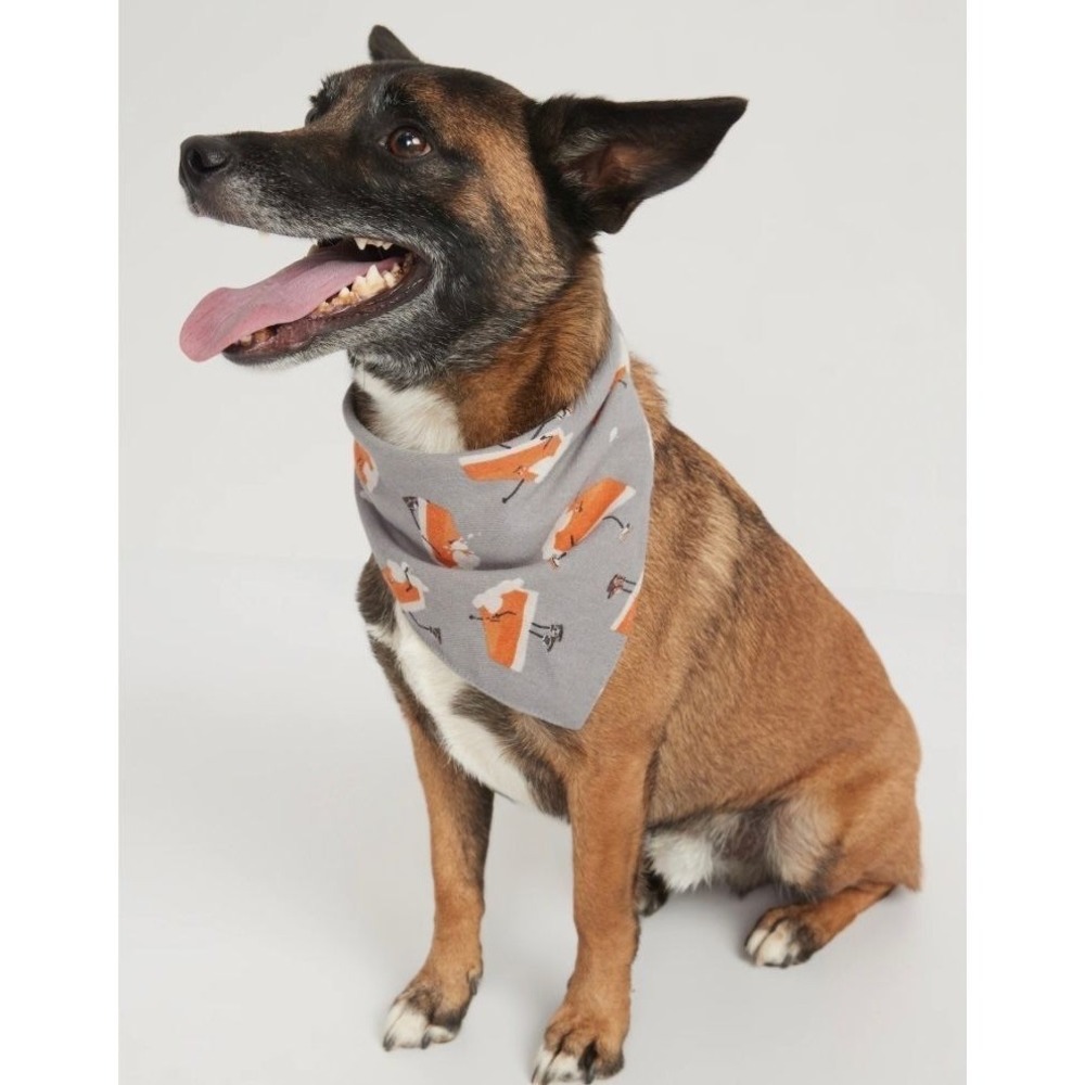 Old Navy NWT Holiday Print Bandana for Pets Easy as Pie